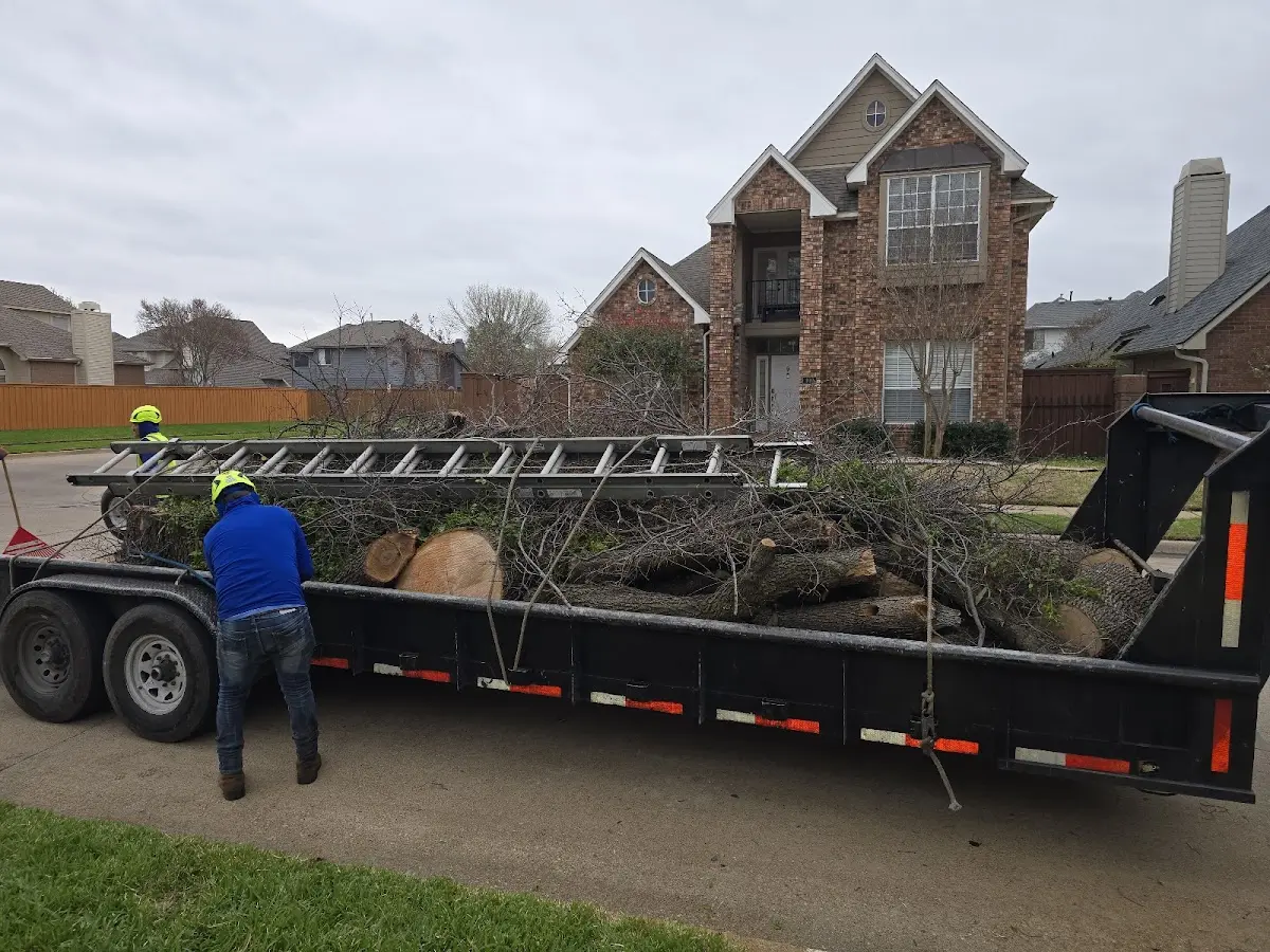 Expert Lot Clearing with proper safety equipment in Medina